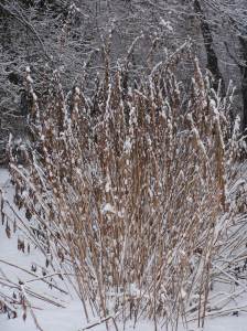 The Path was here a minute ago...