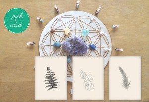 Anne Hayman's Website Cover Page