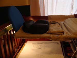 Ostrich Cot Adaptable