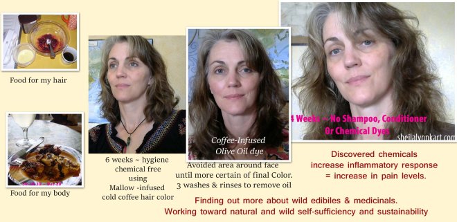 Profile Pictures after all natural hair care switch