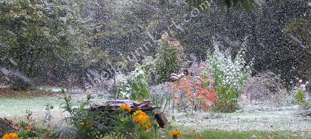 October Snow