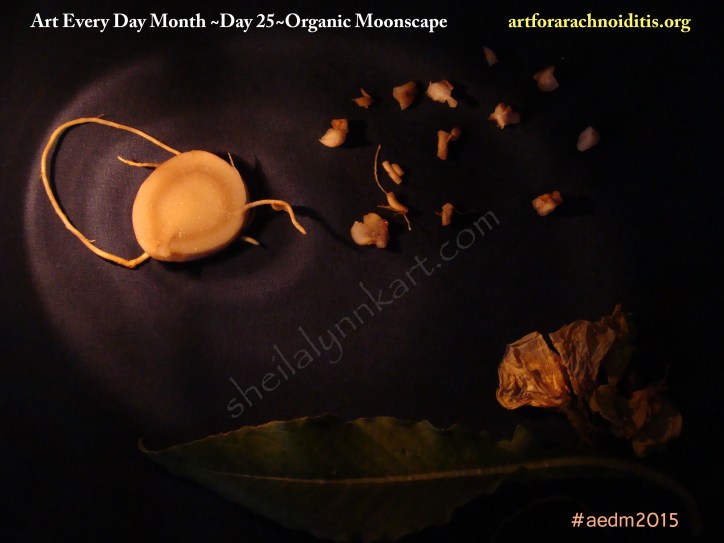 Evening Primrose plant on cotton fabric