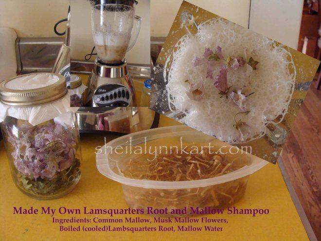 All Natural Shampoo Making Collage